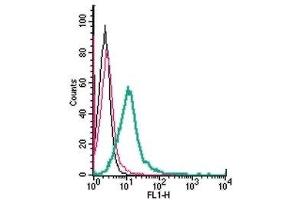 Cell surface detection of P2Y1 Receptor by direct flow cytometry in live intact mouse BV-2 microglia cells: (black line) Cells. (P2RY1 antibody  (Extracellular) (FITC))