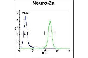 Flow cytometric analysis of Neuro-2a cells (right histogram) compared to a negative control cell (left histogram). (CEP89 antibody  (C-Term))