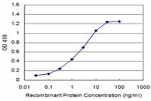 ELISA image for anti-DEAD (Asp-Glu-Ala-Asp) Box Polypeptide 56 (DDX56) (AA 450-548) antibody (ABIN599259) (DDX56 antibody  (AA 450-548))