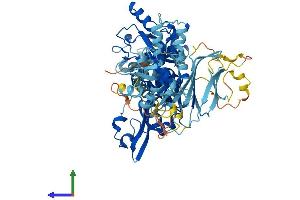 AlphaFold protein structure predicition of Human Recombinant CAPN13 Protein, UniprotID Q6MZZ7 (CAPN13 Protein (AA 1-669) (His tag))