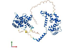 AlphaFold protein structure predicition of Human Recombinant RGS7 Protein, UniprotID P49802 (RGS7 Protein (AA 1-495) (His tag))