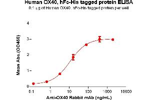 ELISA plate pre-coated by 1 μg/mL (100 μL/well) Human OX40 Protein, hFc-His Tag (ABIN6961095, ABIN7042219 and ABIN7042220) can bind Anti-OX40 Rabbit mAb in a linear range of 3.