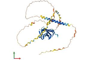 AlphaFold protein structure predicition of Mouse Recombinant Eda Protein, UniprotID O54693