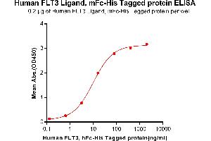 ELISA image for Fms-Related tyrosine Kinase 3 Ligand (FLT3LG) (AA 27-185) protein (mFc-His Tag) (ABIN6961106)