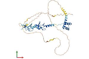 AlphaFold protein structure predicition of Human Recombinant LHX3 Protein, UniprotID Q9UBR4