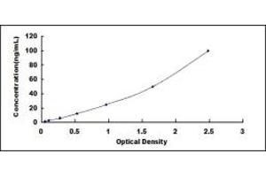 Typical standard curve (C1QA ELISA Kit)