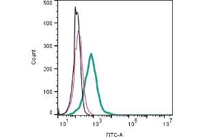Cell surface detection of Adenosine A1 Receptor by direct flow cytometry in live intact mouse J774 macrophage cell line: + Rabbit IgG Isotype Control-FITC (ABIN7582044).