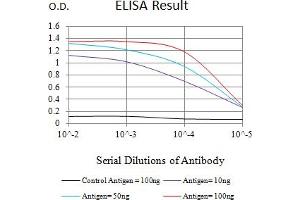 Black line: Control Antigen (100 ng),Purple line: Antigen (10 ng), Blue line: Antigen (50 ng), Red line:Antigen (100 ng) (PINK1 antibody  (AA 112-273))