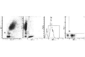 Image no. 1 for anti-CD2 (CD2) antibody (FITC) (ABIN1106017) (CD2 antibody  (FITC))