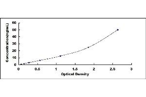 Typical standard curve (NRP2 ELISA Kit)