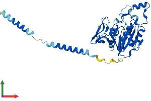 AlphaFold protein structure predicition of Mouse Recombinant B3gat3 Protein, UniprotID P58158