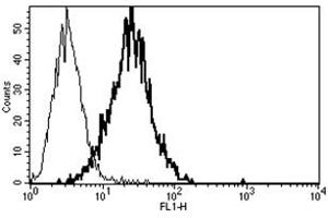 Flow Cytometry (FACS) image for anti-Poliovirus Receptor-Related 2 (Herpesvirus Entry Mediator B) (PVRL2) antibody (ABIN1105753) (PVRL2 antibody)