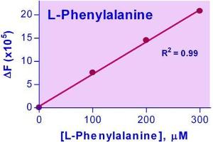Biochemical Assay (BCA) image for Phenylalanine Assay Kit (ABIN1000326)