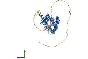 Protein Structure (PS) image for Adenosine A2a Receptor (ADORA2A) (AA 1-410) protein (His tag) (ABIN7557580)