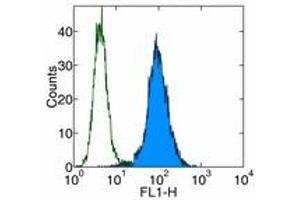 Image no. 1 for anti-CD1a (CD1a) antibody (FITC) (ABIN474708) (CD1a antibody  (FITC))