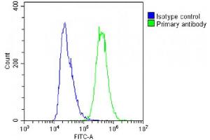 Overlay histogram showing A431 cells stained with (ABIN6242879 and ABIN6578848)(green line). (TGFA antibody  (AA 118-150))
