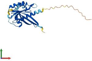 AlphaFold protein structure predicition of Human Recombinant RAB38 Protein, UniprotID P57729