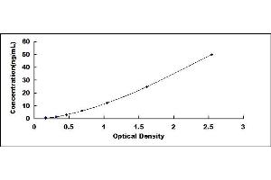 Typical standard curve (CYGB ELISA Kit)