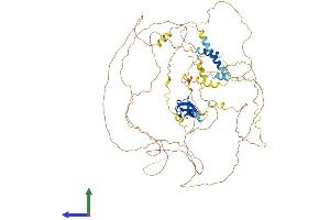 AlphaFold protein structure predicition of Human Recombinant LIMA1 Protein, UniprotID Q9UHB6