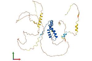 Protein Structure (PS) image for SRY (Sex Determining Region Y)-Box 1 (SOX1) (AA 1-391) protein (His tag) (ABIN7563438)