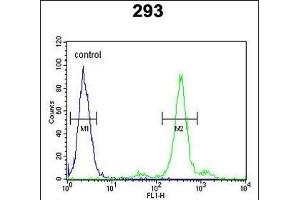 PGD Antibody (Center) (ABIN651639 and ABIN2840342) flow cytometric analysis of 293 cells (right histogram) compared to a negative control cell (left histogram). (PGD antibody  (AA 236-265))