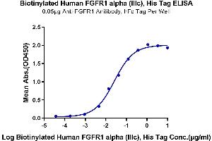 Immobilized Anti-FGFR1 Anitibody, hFc Tag at 0. (FGFR-1 Alpha(IIIc) (AA 22-374) protein (His-Avi Tag,Biotin))