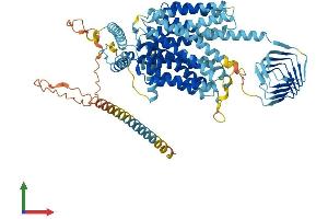 AlphaFold protein structure predicition of Mouse Recombinant Sv2c Protein, UniprotID Q69ZS6 (SV2C Protein (AA 1-727) (His tag))
