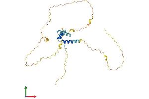 AlphaFold protein structure predicition of Mouse Recombinant Frat1 Protein, UniprotID P70339