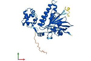 Protein Structure (PS) image for DNA Meiotic Recombinase 1 (DMC1) (AA 1-340) protein (His tag) (ABIN7547094)
