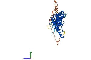 Protein Structure (PS) image for FK506 Binding Protein Like (FKBPL) (AA 1-349) protein (His tag) (ABIN7547772)