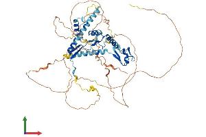 AlphaFold protein structure predicition of Human Recombinant CSRNP1 Protein, UniprotID Q96S65 (AXUD1 Protein (AA 1-589) (His tag))