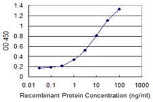 Detection limit for recombinant GST tagged KCNIP1 is 0. (KCNIP1 antibody  (AA 1-216))