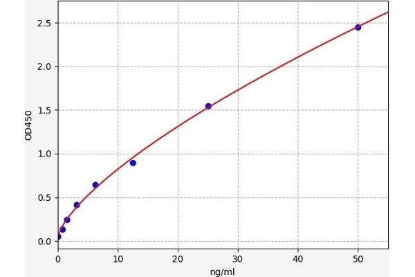 NEIL3 ELISA Kit