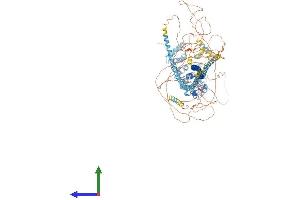 AlphaFold protein structure predicition of Human Recombinant TSC1 Protein, UniprotID Q92574 (TSC1 Protein (AA 1-1164) (His tag))