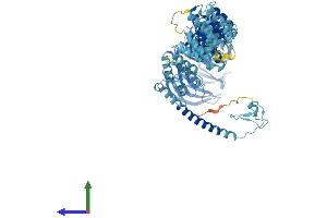 AlphaFold protein structure predicition of Human Recombinant TGFBRAP1 Protein, UniprotID Q8WUH2 (TGFBRAP1 Protein (AA 1-860) (His tag))