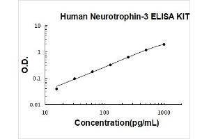 Neurotrophin 3 (NTF3) ELISA Kit
