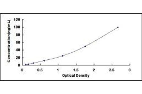 CD8B ELISA Kit