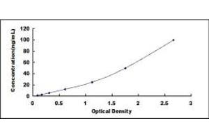 Typical standard curve (CD8B ELISA Kit)