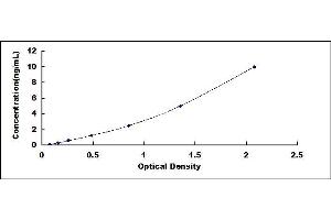 Typical standard curve (CLCF1 ELISA Kit)