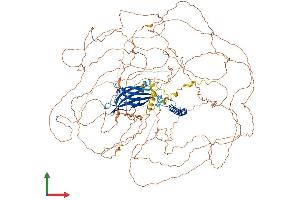 AlphaFold protein structure predicition of Human Recombinant RAB11FIP1 Protein, UniprotID Q6WKZ4 (RAB11FIP1 Protein (AA 1-1283) (His tag))