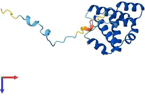ARPC5L Protein (AA 1-153) (His tag)