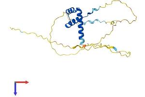 PROP1 Protein (AA 1-223) (His tag)