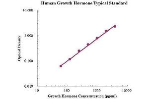 ELISA image for Growth Hormone 1 (GH1) ELISA Kit (ABIN3198541) (Growth Hormone 1 ELISA Kit)