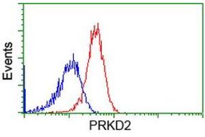 Flow Cytometry (FACS) image for anti-Protein Kinase D2 (PKD2) antibody (ABIN1500414) (PKD2 antibody)