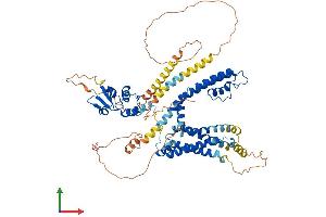 AlphaFold protein structure predicition of Mouse Recombinant Kcna4 Protein, UniprotID Q61423 (Kv1.4 Protein (AA 1-654) (His tag))