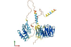 Protein Structure (PS) image for TAF5-Like RNA Polymerase II, P300/CBP-Associated Factor (PCAF)-Associated Factor, 65kDa (TAF5L) (AA 1-589) protein (His tag) (ABIN7544227)