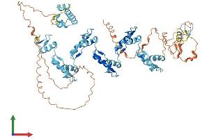 AlphaFold protein structure predicition of Human Recombinant ZNF251 Protein, UniprotID Q9BRH9
