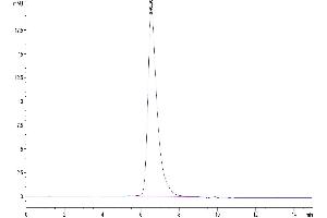 The purity of Biotinylated Human CD7 is greater than 95 % as determined by SEC-HPLC. (CD7 Protein (CD7) (AA 26-180) (His-Avi Tag,Biotin))