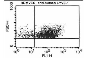 FACS analysis of LYVE-1 on human microvascular endothelial cells using antibody ABIN115663. (LYVE1 antibody  (AA 24-231))