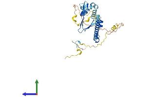 AlphaFold protein structure predicition of Mouse Recombinant E2f5 Protein, UniprotID Q61502 (E2F5 Protein (E2F5) (AA 1-335) (His tag))